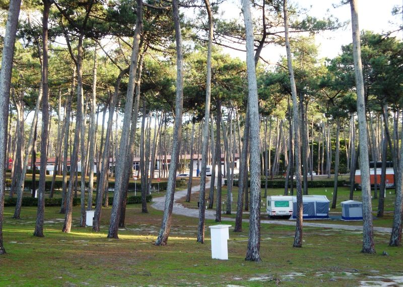 Parque De Campismo Orbitur Sao Pedro De Moel Hotel Екстериор снимка